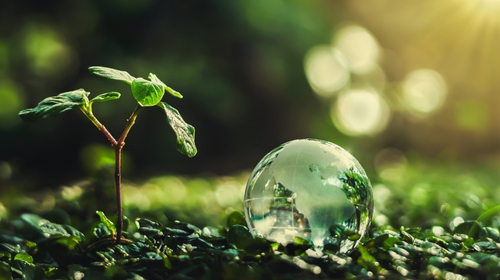 Business Continuity Management